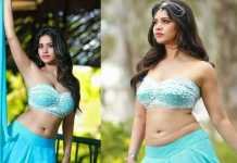 Actress Nabha Natesh Roped in iSmart Shankar Movie