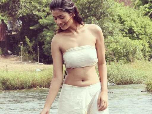 Top Payal Rajput Hot Navel Show Photos Theprimetalks Com