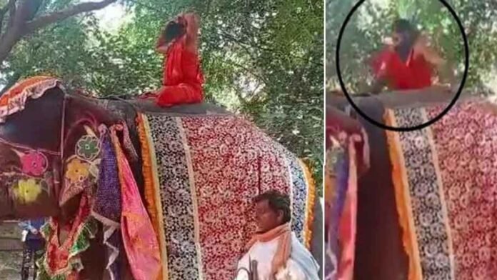 Ramdev baba falls off elephant while performing yoga at mathura camp