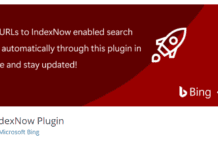 Indexnow wordpress plugin