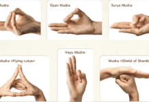 hand mudras for success