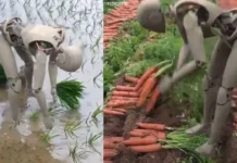 what happens if robots become farmers