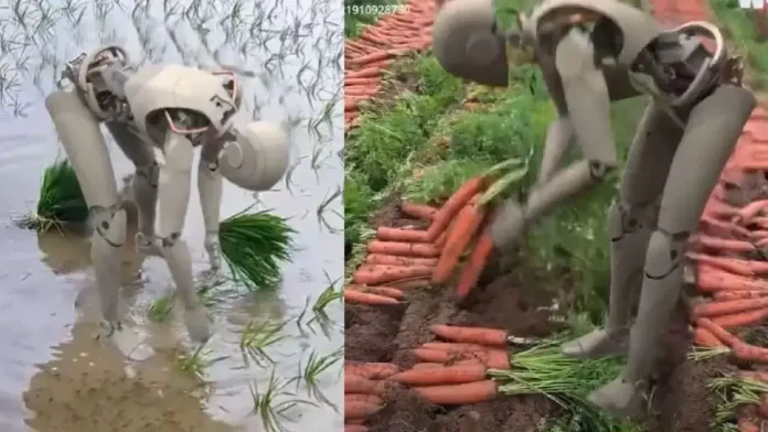 what happens if robots become farmers